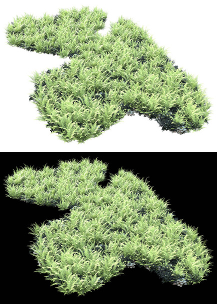 Melocotón de hierba aislado en el fondo con máscara. representación 3d - ilustración - Foto, Imagen