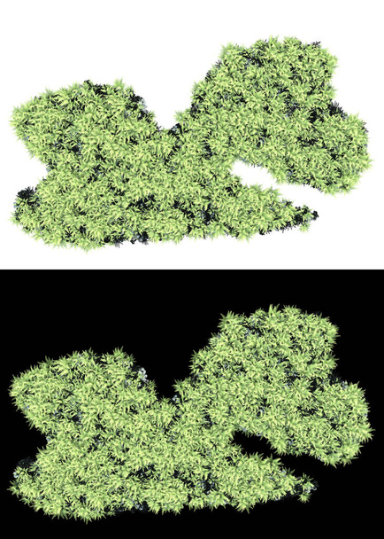 Pach trávy izolované na pozadí s maskou. 3D vykreslování - ilustrace - Fotografie, Obrázek