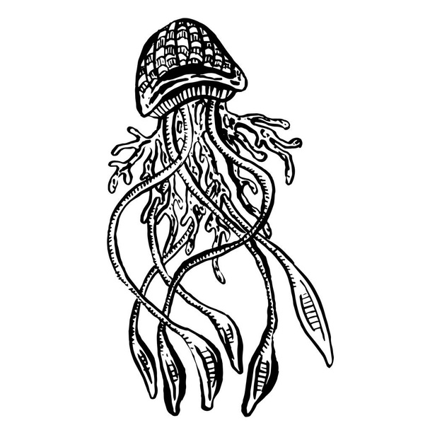 Γραμμή τέχνη κινουμένων σχεδίων μέδουσες χταπόδι βαθιά θάλασσα πλάσματα διάνυσμα - Διάνυσμα, εικόνα
