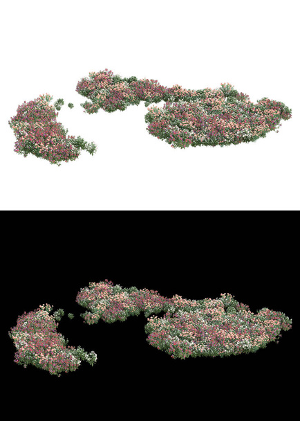 Levél zöld levelek és virágok elszigetelt fehér és fekete háttér bannerek. 3d renderelés - illusztráció - Fotó, kép