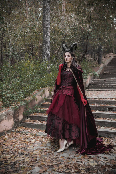 Dark fairy in the forest - Photo, image