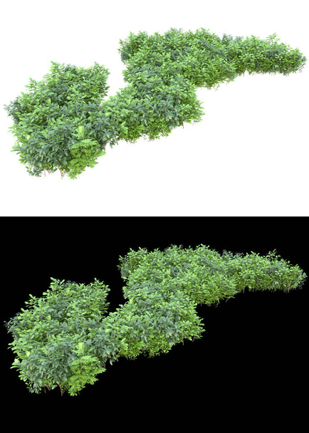 Відшарування з зеленим листям і квітами ізольовано на білому і чорному тлі для банерів. 3d візуалізація - ілюстрація
 - Фото, зображення