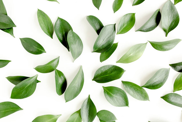 Pattern, texture with green leaves isolated on white background. lay flat, top view - Фото, изображение