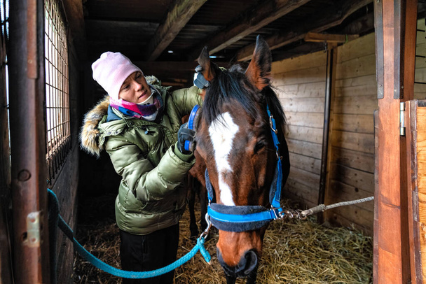 Pflege von Pferden im Stall. Haare mit Hilfe von Bürsten kämmen - Foto, Bild