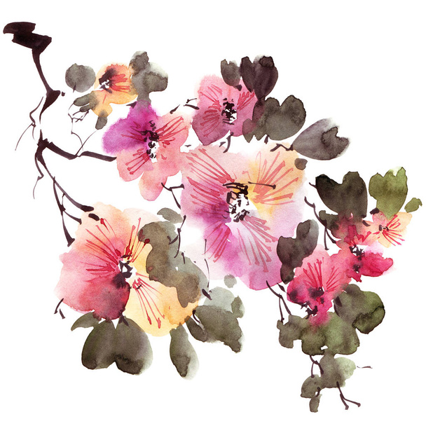 Watercolor and ink illustration of tree branch in bloom - with flowers, buds and leaves. Oriental traditional painting in style sumi-e, u-sin and gohua. - Photo, image