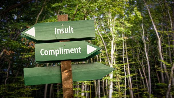Straßenschild als Richtungsweiser für Kompliment versus Beleidigung - Foto, Bild