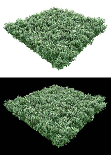 Campo in erba di montagna isolato su sfondo bianco e nero per banner. rendering 3d - illustrazione - Foto, immagini