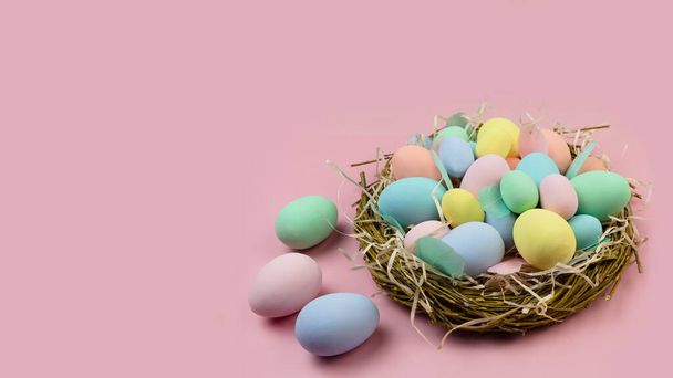 Různobarevná velikonoční vajíčka a peří v pastelových barvách leží v hnízdě z větví na růžovém pozadí. Velikonoční přání - svátky. - Fotografie, Obrázek
