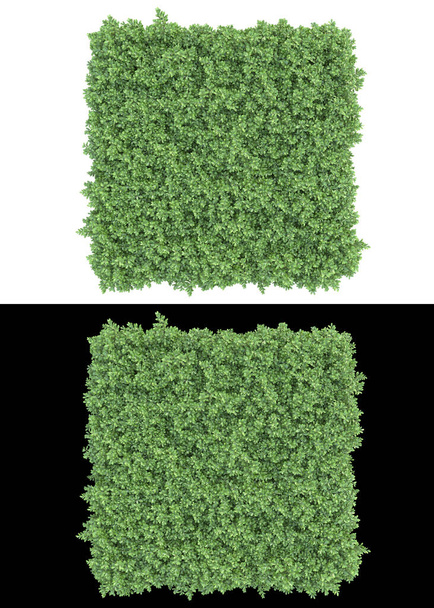 Campo de hierba de montaña aislado sobre fondo blanco y negro para pancartas. representación 3d - ilustración - Foto, imagen