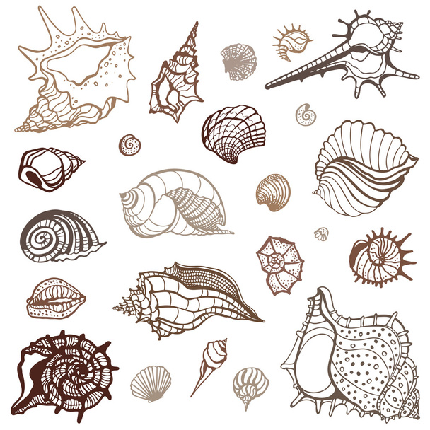 Sea collection. Hand drawn vector illustration - Vector, imagen