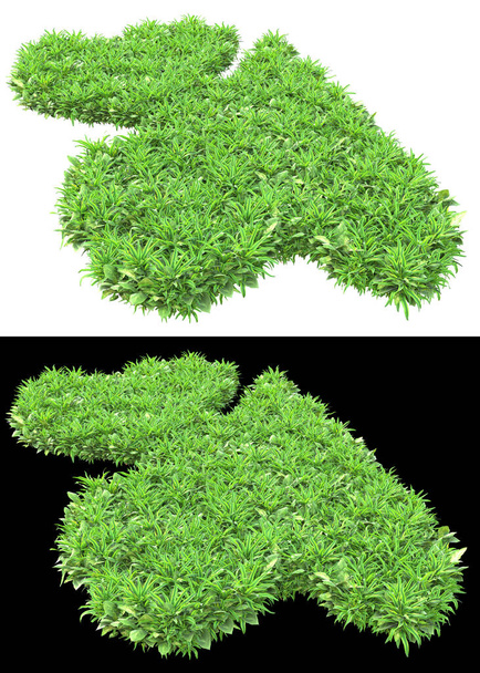 Pole horské trávy izolované na bílém a černém pozadí pro transparenty. 3D vykreslování - ilustrace - Fotografie, Obrázek