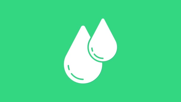Weißwasser Tropfen Symbol isoliert auf grünem Hintergrund. 4K Video Motion Grafik Animation - Filmmaterial, Video