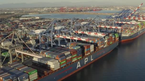 Long Beach limanına yanaşmış binlerce konteynır taşıyan büyük bir konteynır gemisinin havadan görüntüsü. - Video, Çekim