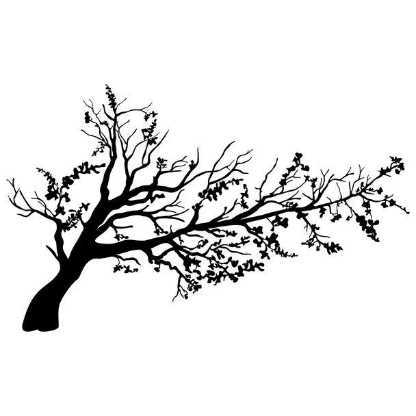木のシルエット - ベクター画像