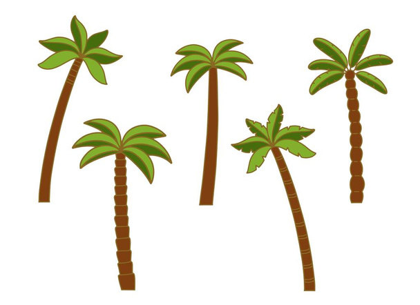 Set of palm trees, colorful picture, flat style, isolated icon. Vector illustration on white background.  - Vector, Image