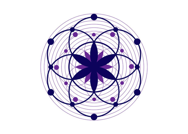 Semilla de vida símbolo Geometría Sagrada. Icono del logotipo Mandala místico geométrico de la alquimia esotérica Flor de la Vida. Vector púrpura y azul tatuaje amuleto meditativo divino aislado sobre fondo blanco - Vector, imagen