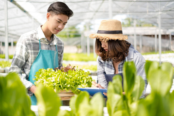 Hydroponics, jóvenes agricultores asiáticos examinaron la calidad de las verduras orgánicas cultivadas con hidroponía y documentaron los registros de crecimiento de las hojas. Concepto de empresa agrícola ecológica. - Foto, imagen
