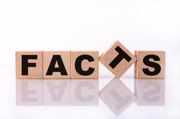 FACTS word, text written on wooden cubes on a white background with reflection. - Foto, Bild