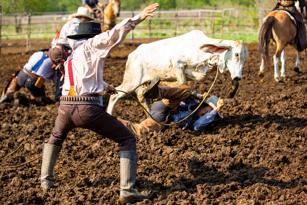 Vaqueros persiguiendo caballos salvajes. cuerda y equitación, con polvo volando por todas partes - Foto, Imagen