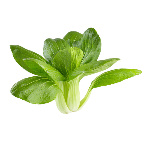Fresh green Chinese cabbage, bok choy, pok choi or pak choi, isolated on white background - Фото, изображение