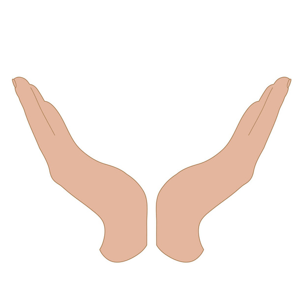 Ilustración vectorial de manos en gesto defensivo. Símbolo de humanidad, cuidado, protección. - Vector, imagen