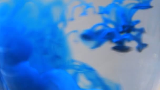 Champagne di vetro con acqua e colore liquido che scorre su diverse superfici  - Filmati, video