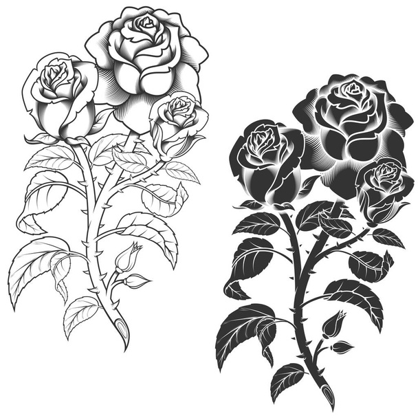 Conception vectorielle d'un bouquet de fleurs, en niveaux de gris, le tout sur fond blanc - Vecteur, image