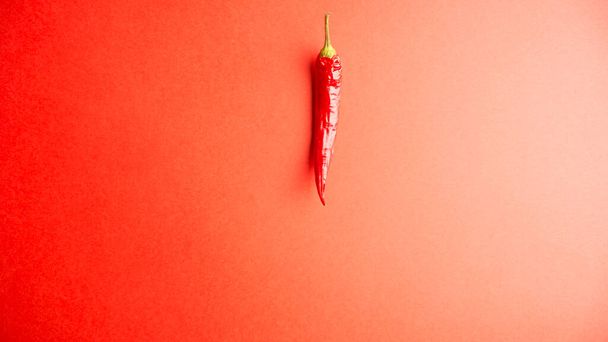 chili pepper on red background, top view - Foto, afbeelding