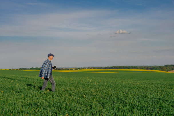 Современный фермер-исследователь с использованием цифрового планшета в сельскохозяйственной области. - Фото, изображение