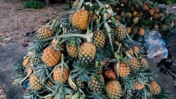 Diverse ananassen gestapeld op een fruitmarkt - Video