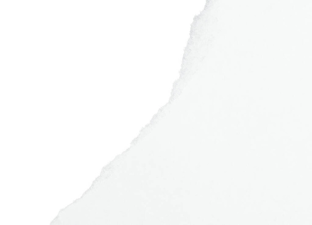 İzole edilmiş beyaz arkaplandaki beyaz yırtık kağıt parçası - Fotoğraf, Görsel
