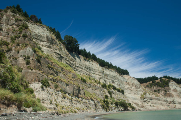 Sea cliff in Cape Kidnappers Gannet Reserve. - Photo, Image