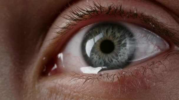 Erschießung eines weiblichen grauen Auges mit Tränen - Filmmaterial, Video