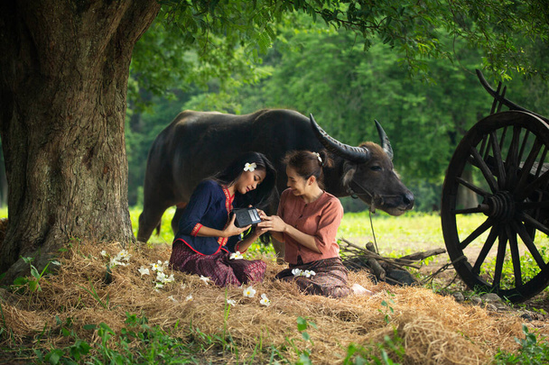 Портрет красивої азіатської жінки і буйвола в полі на фермі.. - Фото, зображення