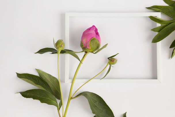 rosa Rose in einer weißen Vase auf hellem Hintergrund - Foto, Bild