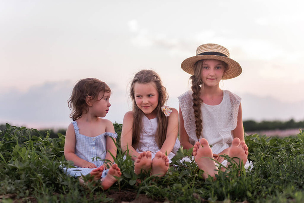 Three sisters in white sundresses are sitting on green meadow. Girls play in blooming field of purple sage. Show their feet heels Happy family love. Outdoor walks, happy barefoot childhood. Copy space - 写真・画像