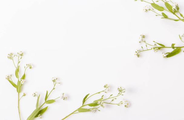 Cadre printanier de petites fleurs et d'oublier-moi-pas, arrangement floral - Photo, image