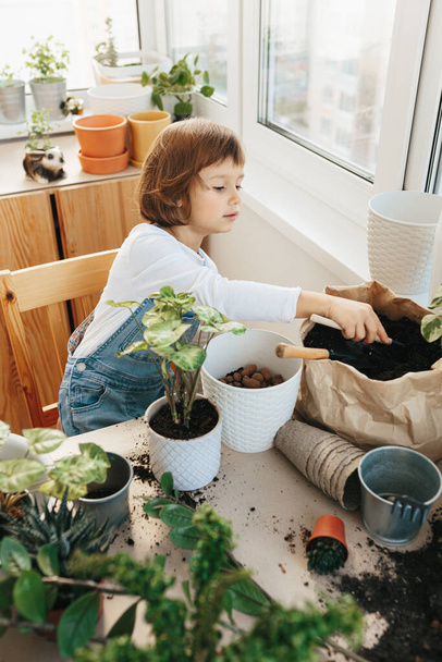 Child girl planting a houseplant in pot at home, putting soil in flowerpot. Urban jungle concept - Foto, afbeelding