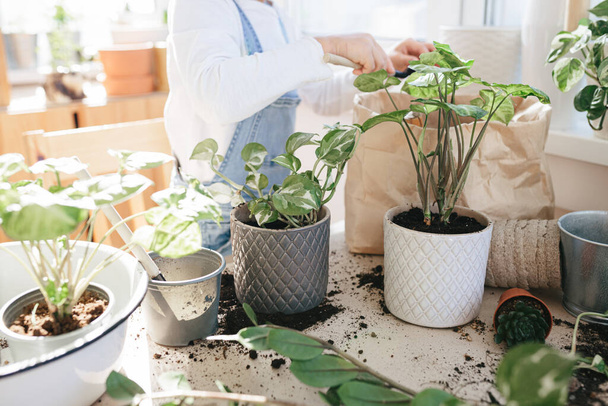 Kind meisje planten een kamerplant in pot thuis, waardoor de bodem in bloempot selectieve focus. Stadsjungle-concept - Foto, afbeelding