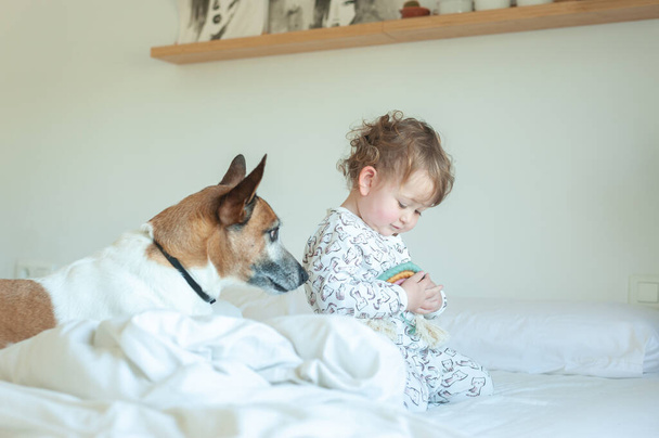 Niña en pijama jugando con el perro en la cama - Foto, Imagen