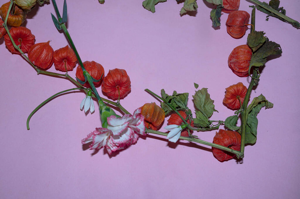 красиві квіти на барвистому фоні, літня концепція, вид крупним планом
   - Фото, зображення