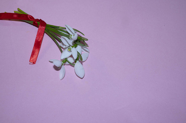 ρομαντική σύνθεση από λουλούδια χιονοσταγόνες με κόκκινη κορδέλα, Valentine day concept  - Φωτογραφία, εικόνα