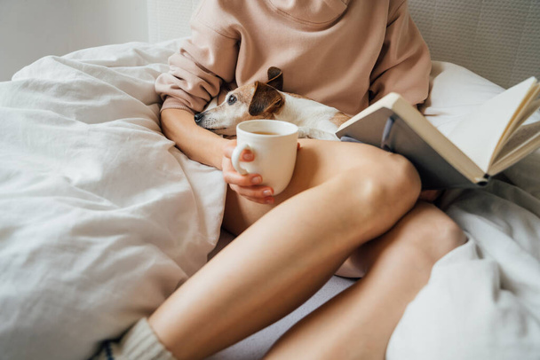 Home weekend time during quarantine. Slim yound woman in bed with note book dairy and adorable small dog. atmosphere of home comfort and delight in laziness. Pink hoodie and white bed  - Zdjęcie, obraz