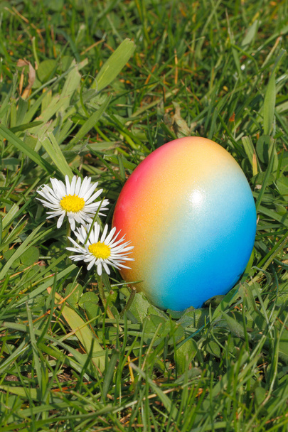 Uovo di Pasqua - Foto, immagini