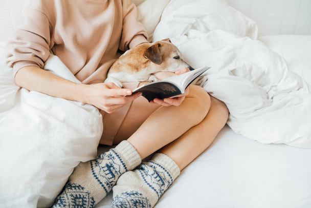 Sleeping relaxed mood. reading at home in bed with pet. Enjoying relaxed time weekend with book in comfort cozy atmosphere. Woman with slim beautiful legs having rest at home .  - Photo, image