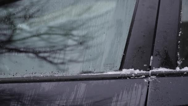 Κοντινό πλάνο του ανθρώπου καθαρίζει χιονισμένο παράθυρο σε ένα αυτοκίνητο με ξύστρα χιονιού. Συγκεντρώσου στον ξύστη. Κρύο χιονισμένο και παγωμένο πρωινό. Μαύρο αυτοκίνητο - Πλάνα, βίντεο