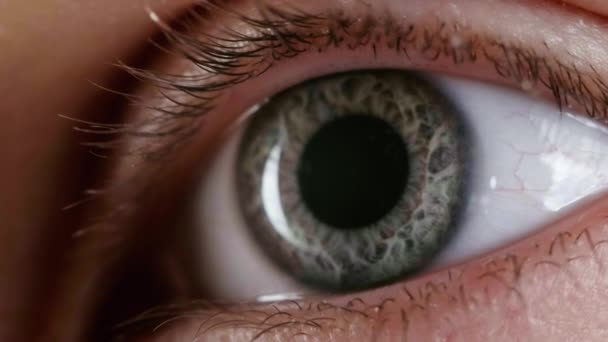 Video de mirar ojo gris femenino - Metraje, vídeo