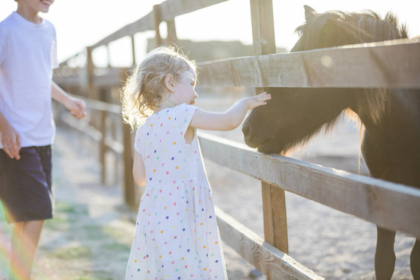 Little blondynka dziewczyna głaskanie kucyk przez ogrodzenie w zoo - Zdjęcie, obraz