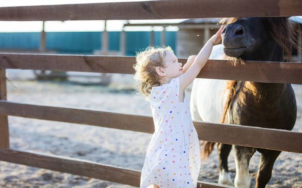 Little blonde girl stroking pony through fence in zoo - Foto, Imagen