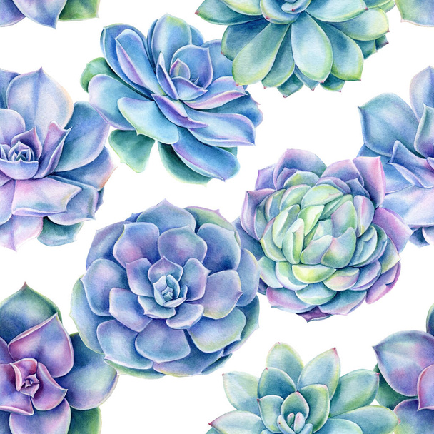 Seamless pattern with succulents plants , watercolor illustration - Foto, imagen